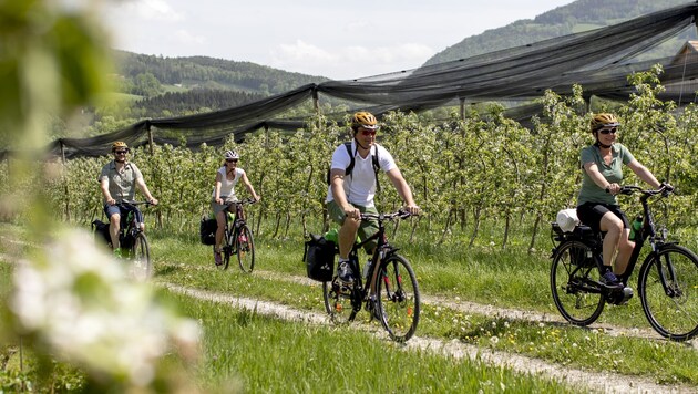 Radtourismus ist ein Schwerpunkt-Thema der Steiermark. (Bild: Steiermark Tourismus/ikarus.cc)