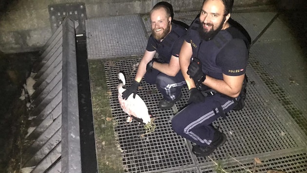 Polizisten retteten den erschöpften Flamingo. (Bild: Polizei Salzburg)
