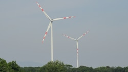 Für den Umweltanwalt des Landes wäre ein Windpark in Rainbach eine „Invasion der weißen Riesen“. (Bild: P. Huber)
