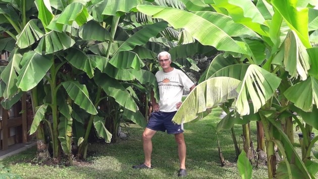 Wenn Im Eigenen Garten Die Bananen Reifen Krone At