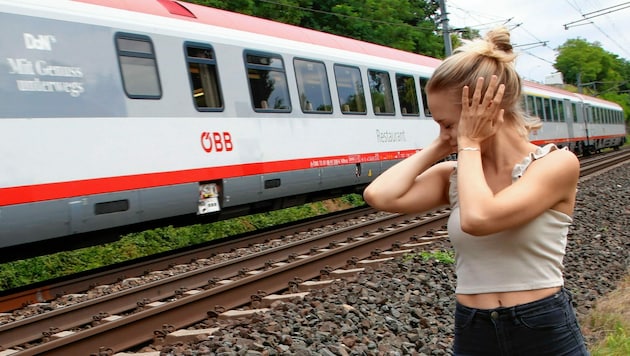 Züge sind viel zu laut, meint die Bürgerinitiative. (Bild: Uta Rojsek-Wiedergut)