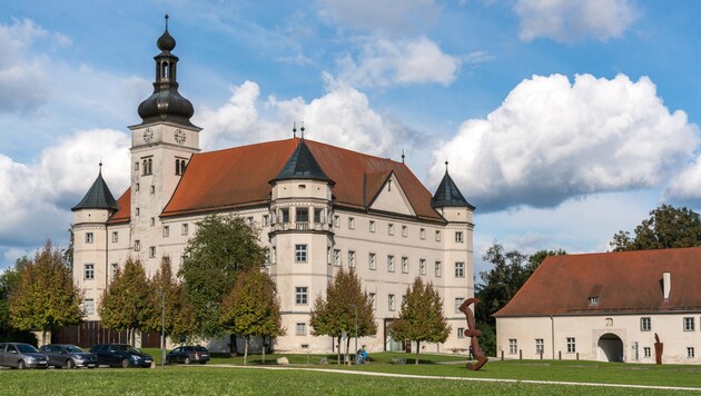 Schloss Hartheim, Gedenkort in Alkoven, stellt sich ab dem Frühjahr 2020 auch Zukunftsfragen. (Bild: Manfred Scheucher)