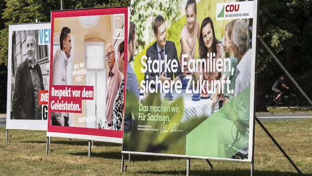 Wahlplakate in Sachsen (Bild: The Associated Press)