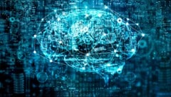 Anagha Athavala vom Institut für Logic und Computation der TU Wien analysiert neuronale Netzwerke, die bestimmte Eingabedaten bestimmten Kategorien zuordnen. (Bild: ©ipopba - stock.adobe.com)