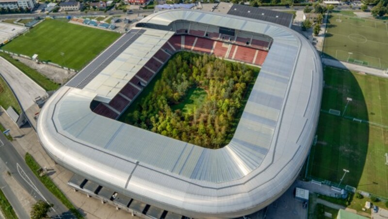 So sieht der Klagenfurter Stadionwald von oben aus. (Bild: UNIMO)