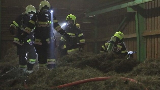 Knapp 150 Feuerwehrleute bekämpften den Brand. (Bild: Thomas Zeiler)