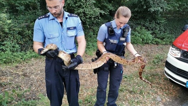 (Bild: Polizeidirektion Koblenz)