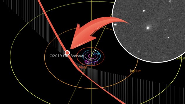 Die Bahn des Kometen „Borisov“ durch unser Sonnensystem (Bild: Canada-France-Hawaii-Telescope, krone.at-Grafik)