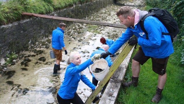 Julia Schmitzberger im trockengelegten Almkanal in Grödig. (Bild: Sascha van Tijn)