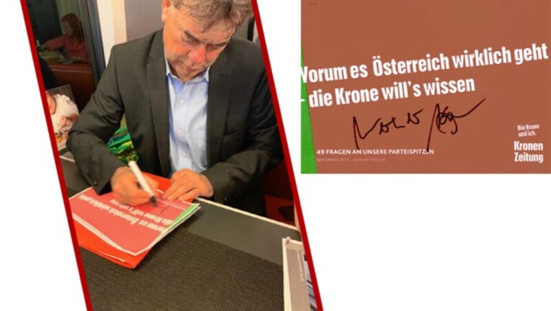 Werner Kogler, Grüne (Bild: Grüne, krone.at-Grafik)