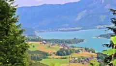 Der Pilgerweg Falkenstein (Bild: Marion Hörmandinger)