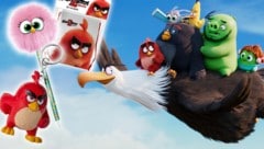 (Bild: ©2019 Sony Pictures Entertainment Deutschland GmbH / Angry BirdsTM & ©2019 Rovio Entertainment Corporation and Rovio Animation Ltd., krone.at-Grafik)