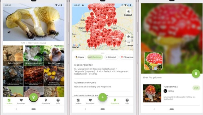 Den digitalen Pilzführer gibt‘s in einer App. (Bild: Pilze 123)