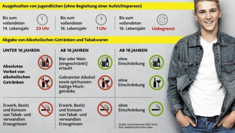 Diese Regeln gelten seit 1. Jänner 2019 (Bild: Krone-Grafik)