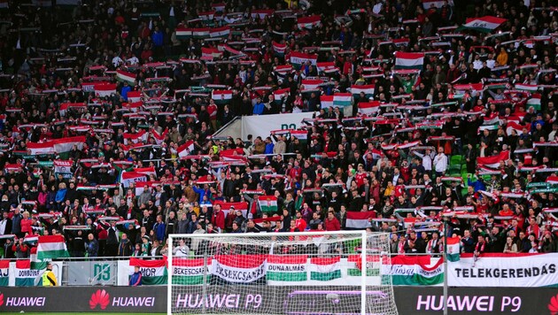 So wird’s beim nächsten Heimspiel der Ungarn in der EM-Quali NICHT im Stadion ausschauen… (Bild: AFP)