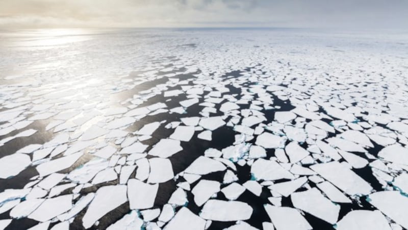 Eisschmelze in der Arktis (Bild: © Will Rose / Greenpeace)