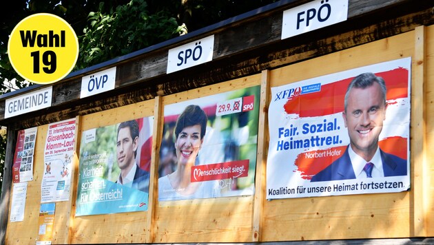 Wahl-Plakate in Elsbethen (Bild: APA/Barbara Gindl)