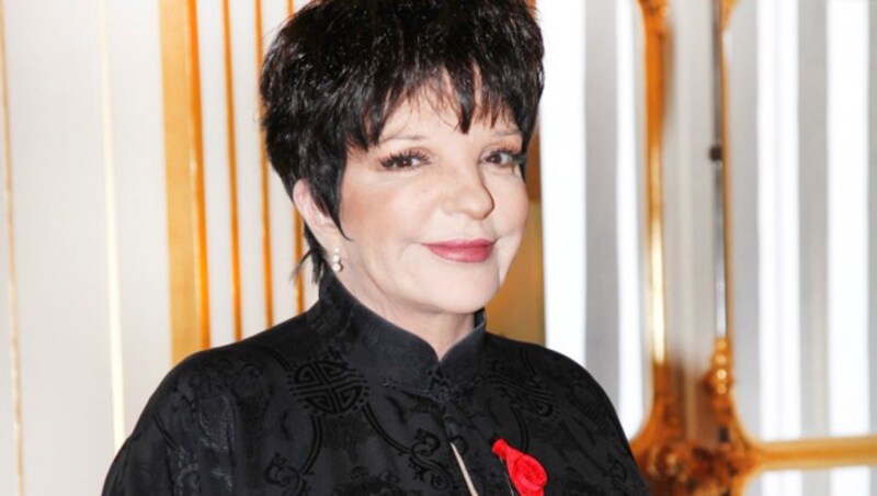 Liza Minnelli 2011 (Bild: www.PPS.at)