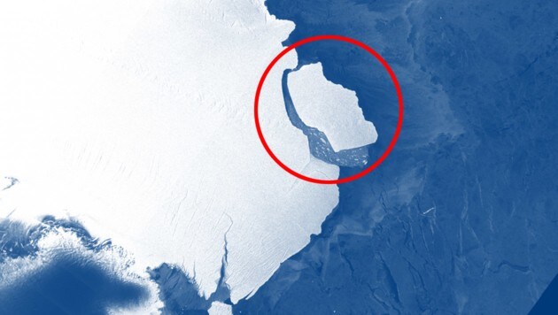 Der Eisberg D-28 (rot markiert) aufgenommen vom ESA-Satelliten „Sentinel-1“ (Bild: Copernicus Data/Sentinel-1, krone.at-Grafik)