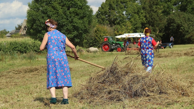 Heu wenden ist nur eine der unzähligen Aufgaben, die auf einem Bauernhof anfallen (Symbolbild). (Bild: ©Regina - stock.adobe.com)