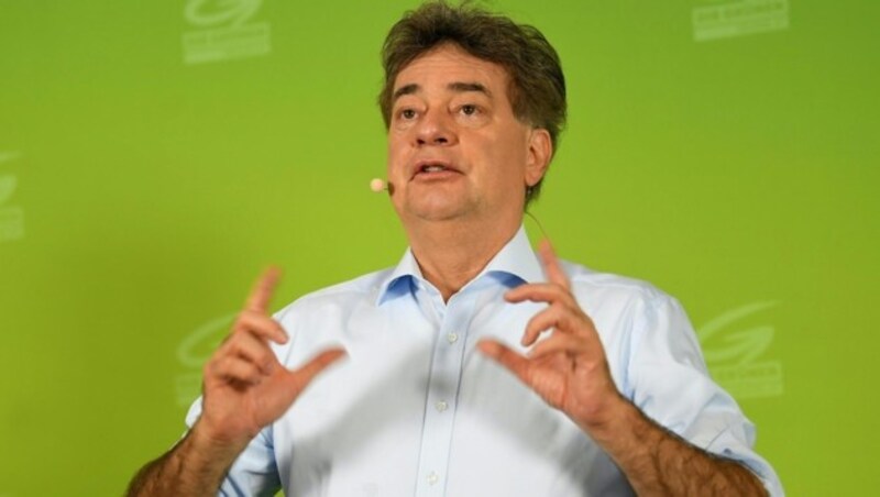 Die Grünen haben unter Werner Kogler den Wiedereinzug ins Parlament geschafft. Kommt es nun sogar zu einer Regierungsbeteiligung? (Bild: APA/ROLAND SCHLAGER)