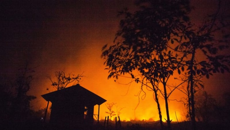 Alleine dieses Jahr wüteten etwa 2000 Waldbrände in Indonesien. (Bild: Jurnasyanto Sukarno/Greenpeace)