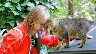 Sandra Muhr, ehemalige Preisträgerin, kümmert sich aufopfernd um Streunerkatzen. (Bild: Christian Jauschowetz)