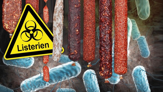 Listerien unter dem Mikroskop: Wurstprodukte aus Österreich sind laut Experten sicher. (Bild: stock.adobe.com, krone.at-Grafik)