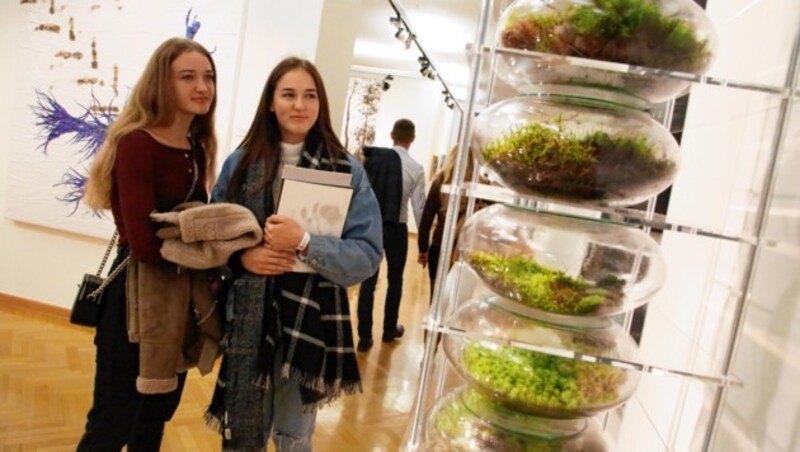 Wald und Holz war das vorherrschende Thema in der Stadtgalerie Klagenfurt. (Bild: Rojsek-Wiedergut Uta)