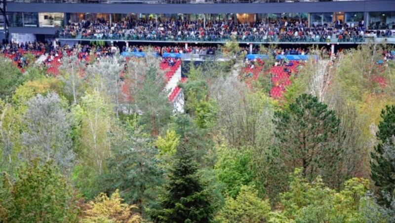 Der Stadionwald in Klagenfurt. (Bild: Rojsek-Wiedergut Uta)