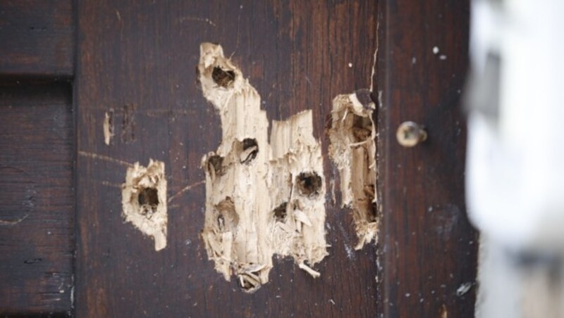 Einschusslöcher am Eingang der Synagoge (Bild: AFP)