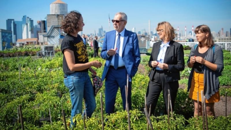 Bundespräsident Alexander Van der Bellen probiert frisch geerntete Chili aus der Hand der Neo-Bäuerin Gwen Schatz (li.). (Bild: Carina KARLOVITS/HBF)