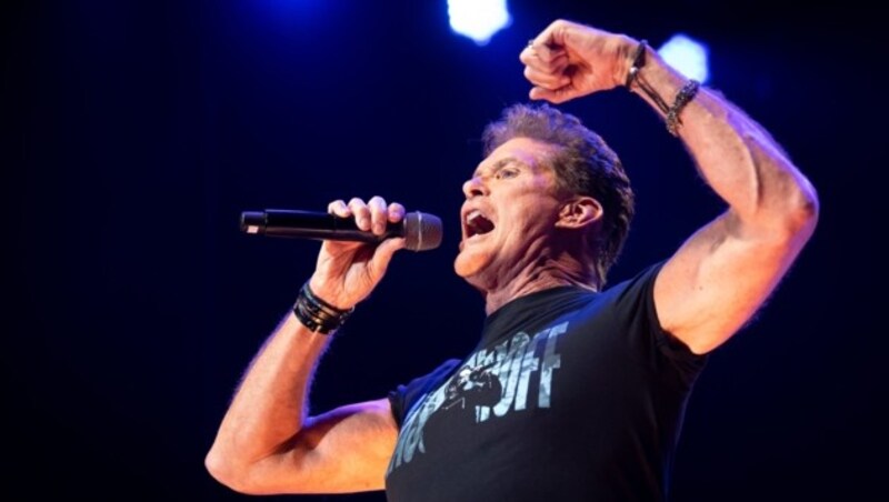 David Hasselhoff (Bild: APA/dpa/Sina Schuldt)