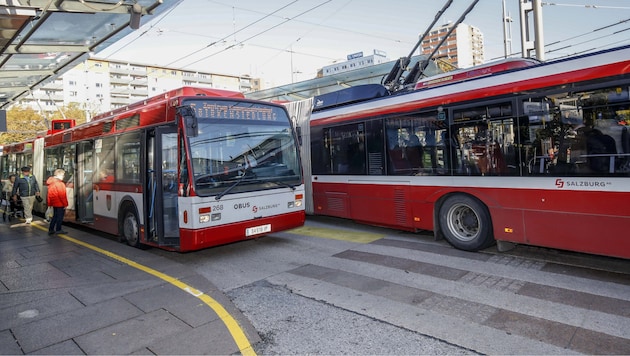 Auch die Obusse können immer am Freitag gratis benützt werden (Bild: Markus Tschepp)