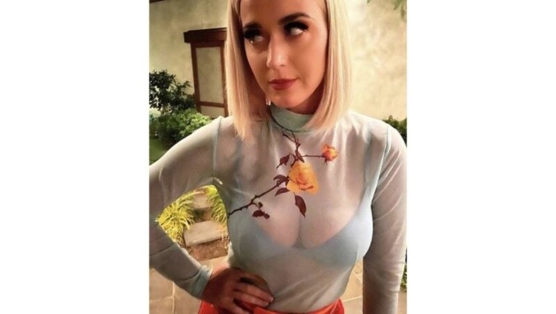 Auch Katy Perry ließ sich in Wäsche von The Kit ablichten. (Bild: instagram.com/thekitundergarments)