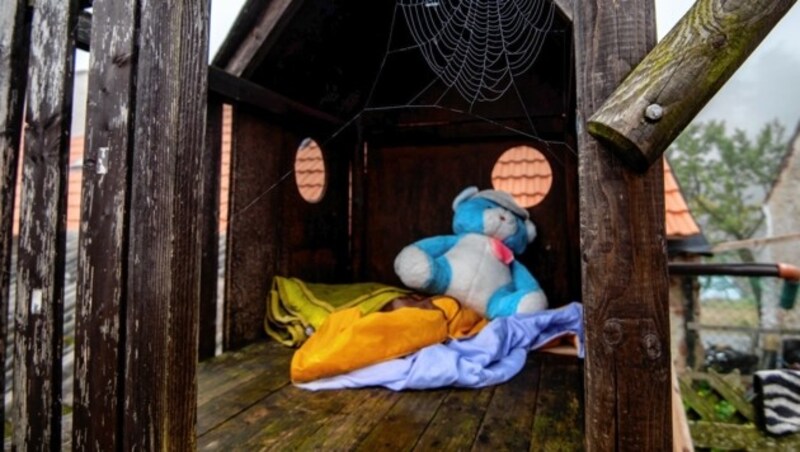 Traurig: Der Kinderbär hinter Spinnweben (Bild: Imre Antal)