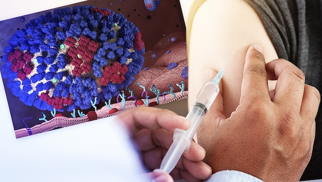 Während die Welt die Entwicklungen bei den Corona-Impfstoffen bestaunt, hapert es beim Grippe-Vakzin. (Bild: CDC, stock.adobe.com, krone.at-Grafik)