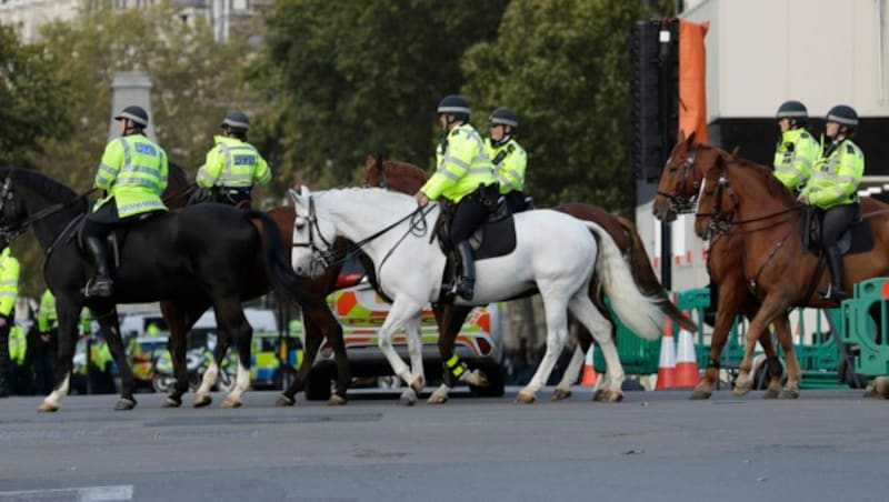 Neben den Klimaschutz-Rebellen hat die britische Polizei nun laufend auch mit Brexit-Gegnern zu tun, die nicht immer friedlich bleiben. (Bild: AP)