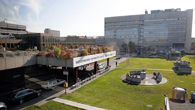 Hospital General de Viena (Bild: Martin A. Jöchl)