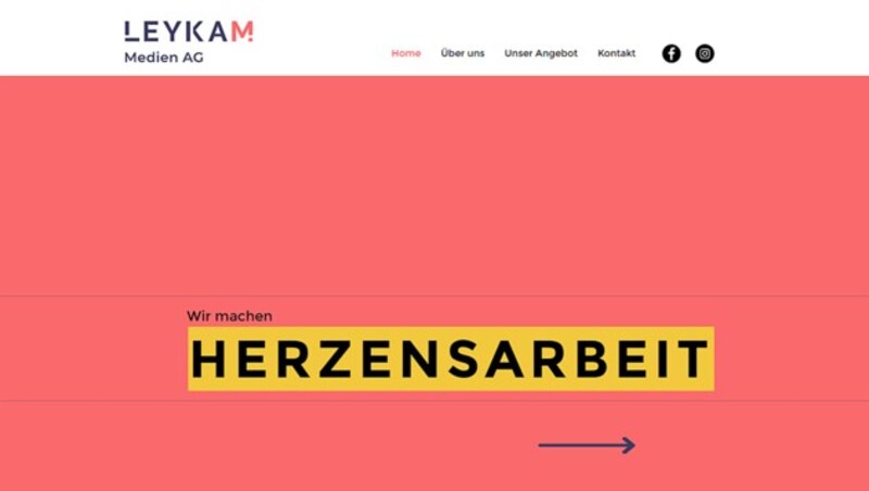 Leycam-Website: „Wir machen Kampagnen, wir machen Herzensarbeit, wir machen Wertvolles.“ (Bild: Screenshot/leykam.com)