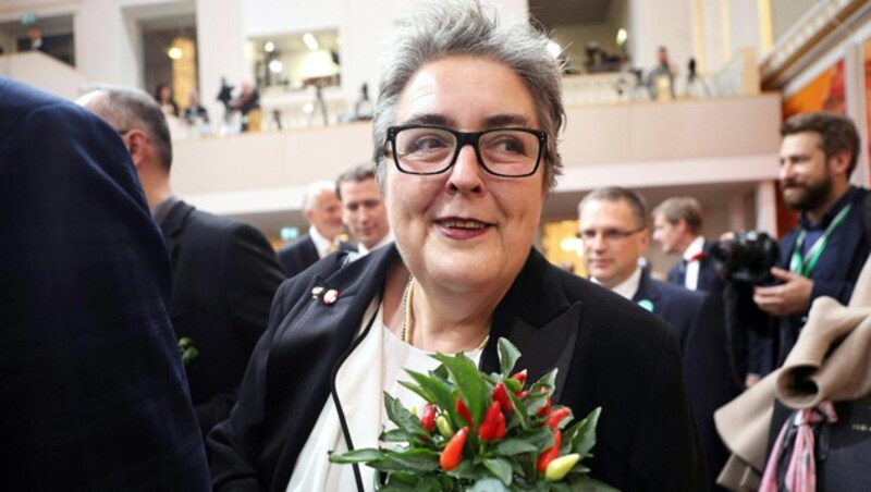 Eva Blimlinger (Grüne) (Bild: APA/GEORG HOCHMUTH)