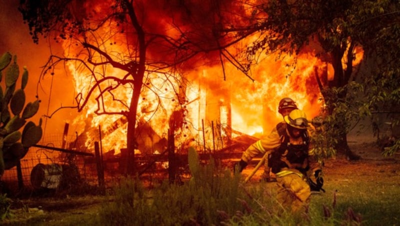 Auch im Sonoma County kämpfen Feuerwehrmänner gegen Waldbrände. (Bild: AP/Noah Berger)