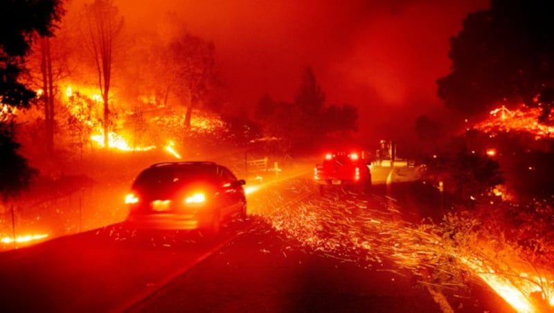 Auch im Sonoma County kämpfen Feuerwehrmänner gegen Waldbrände. (Bild: AP/Noah Berger)