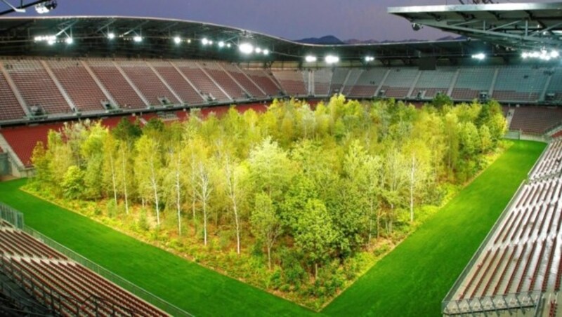 Die Littmann-Installation „For Forest“ machte das Klagenfurter Stadion im Jahr 2019 „speziell“. (Bild: Rojsek-Wiedergut Uta)