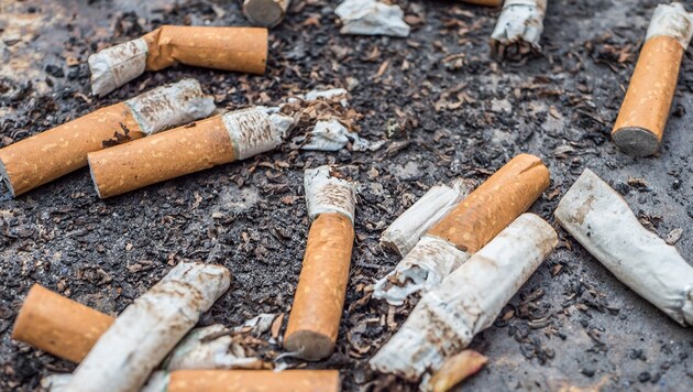Weggeworfene Zigaretten könnten der Auslöser gewesen sein. (Symbolbild) (Bild: stock.adobe.com)