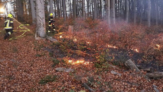 (Bild: FF Sulz im Wienerwald/Seyfert/BFK Mödling)