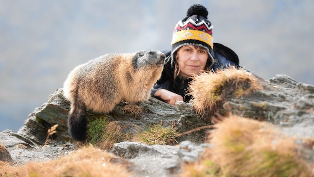 Martina Gebert verbringt viel Zeit bei den Murmeltieren in Kärnten (Bild: Martina Gebert)