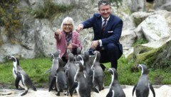 Die fischigen Geschenke kamen bei den Bewohnern des Zoos bereits sehr gut an. (Bild: APA/ROBERT JAEGER)