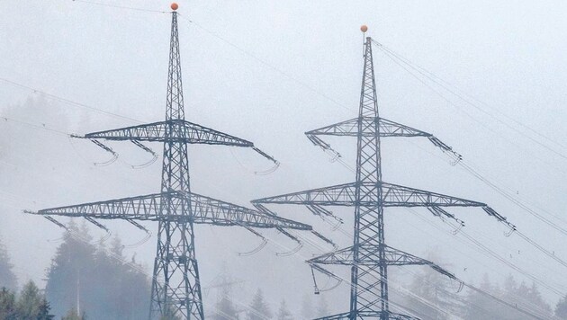 Das Ende des 380-kV-Streits ist wohl noch lange nicht in Sicht. (Bild: EXPA/JFK)