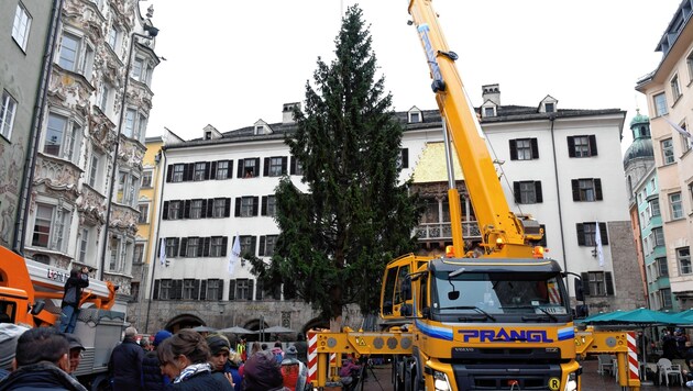 Christbaum 2019 Foto Andreas Fischer (Bild: Andreas Fischer)